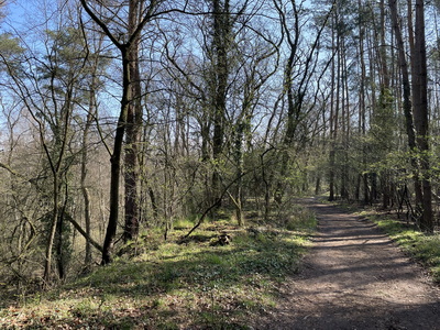 Wanderweg in den Glindower Alpen